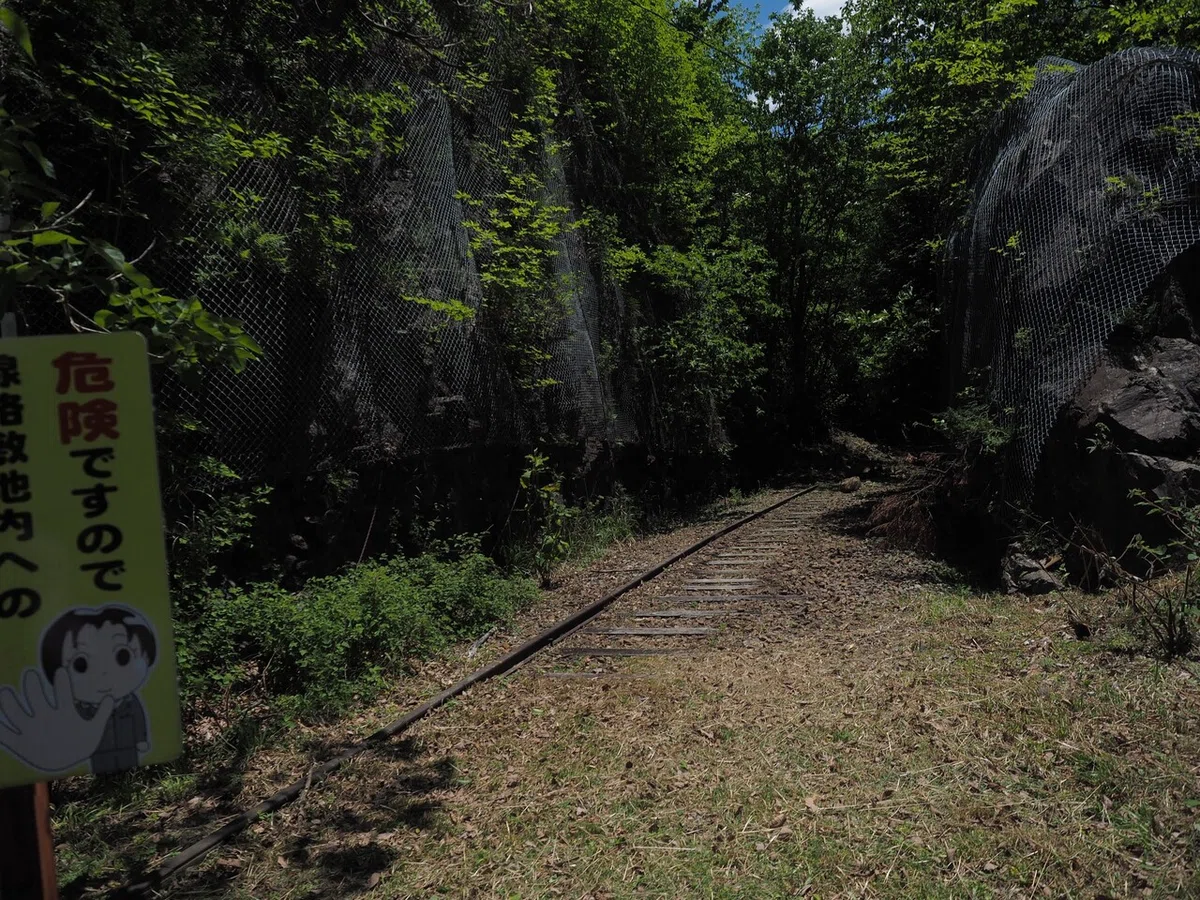 画像6