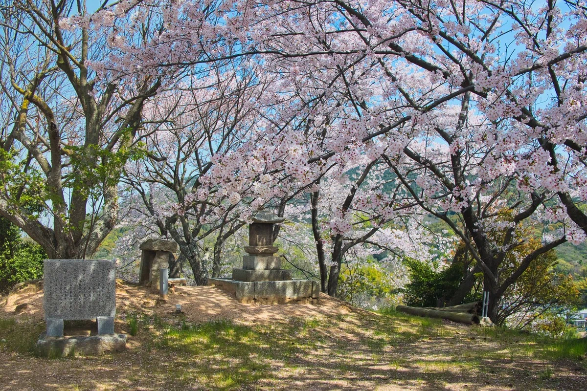 画像13