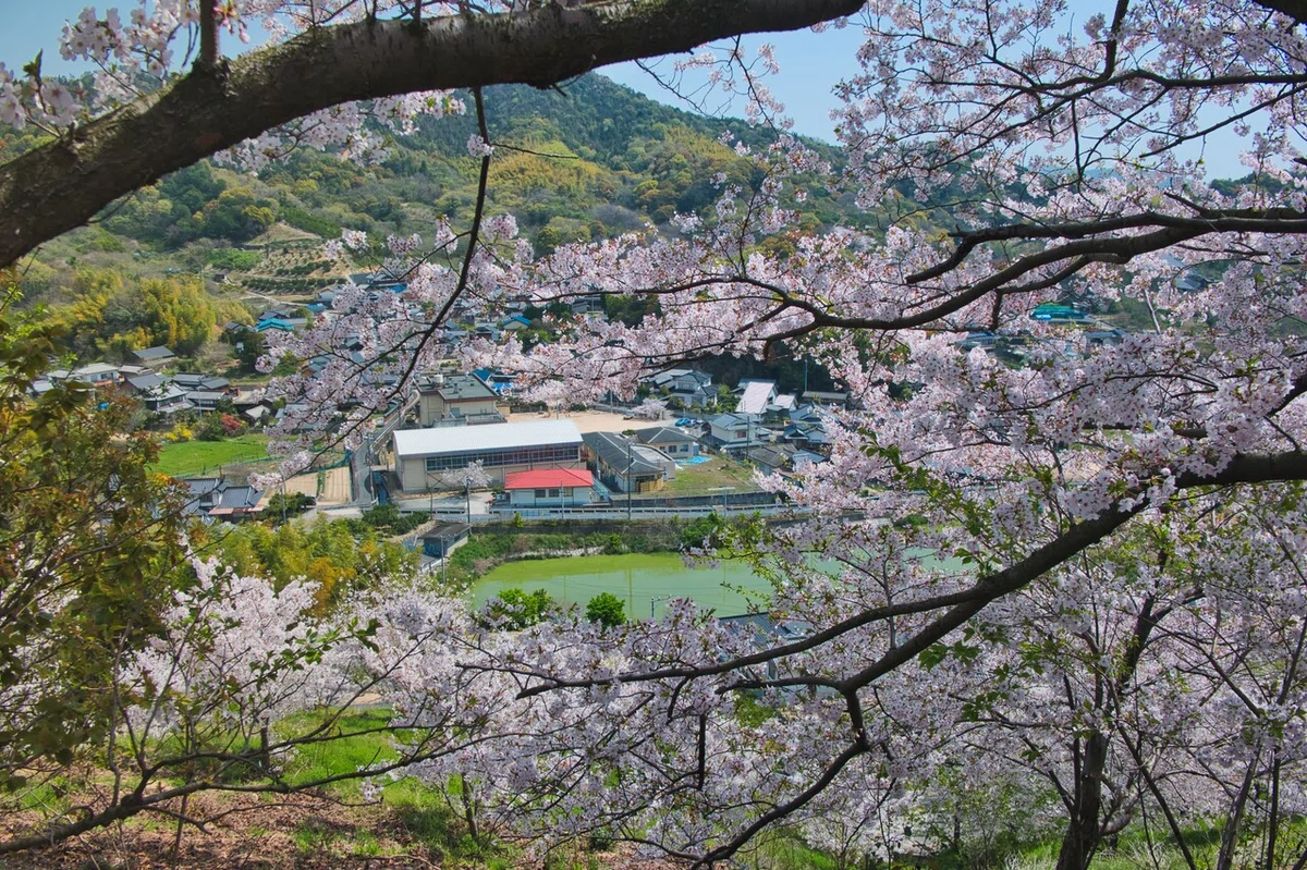 画像14
