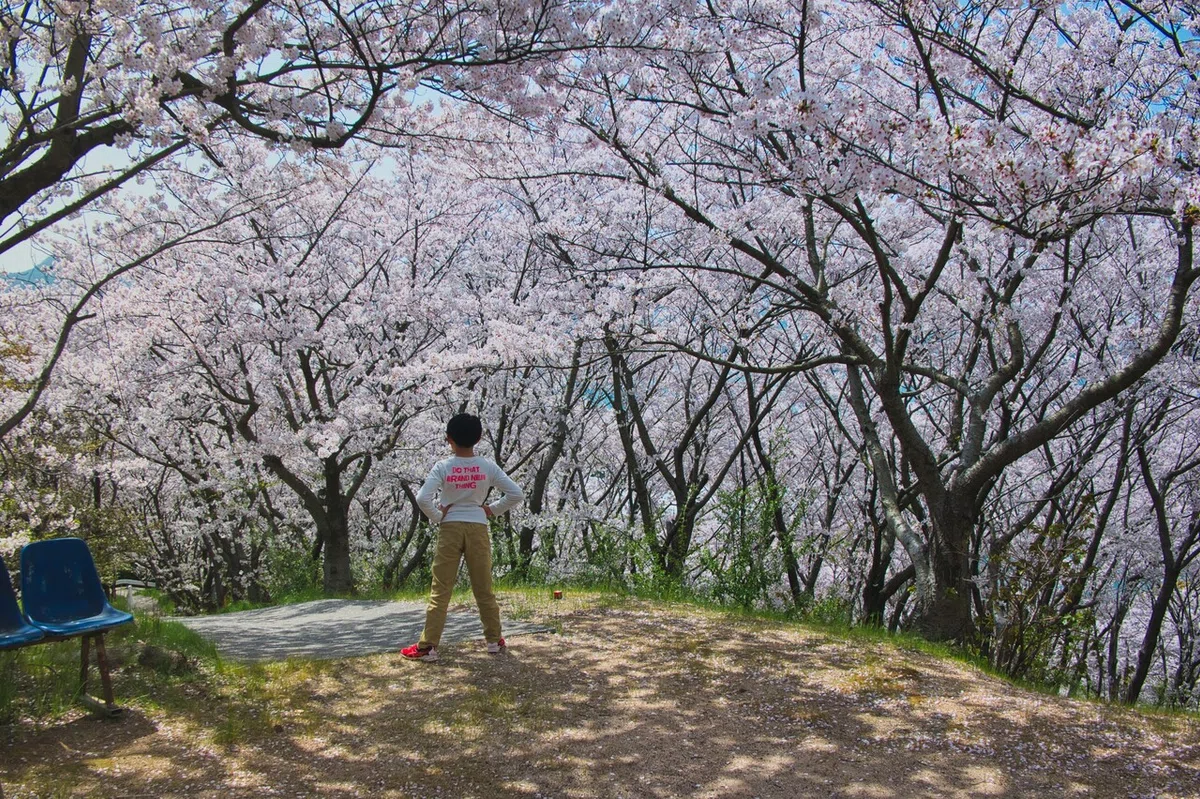 画像16