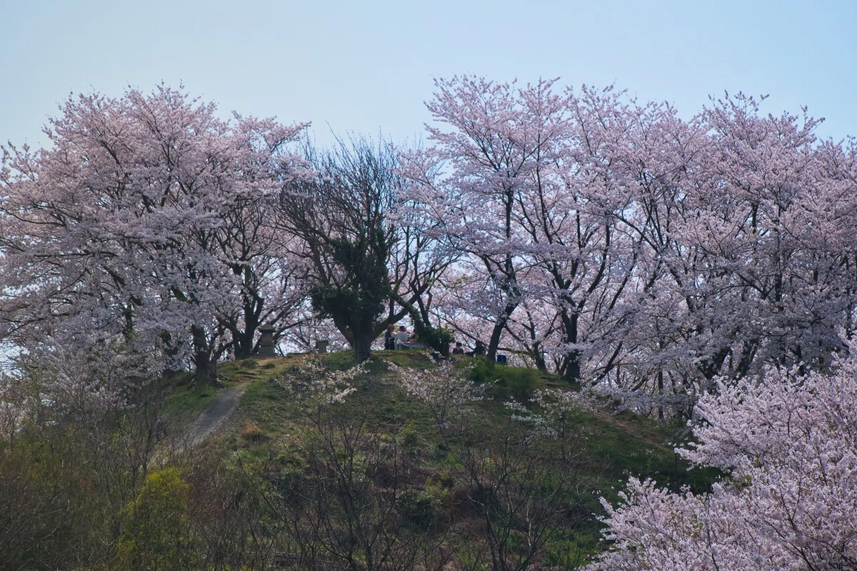 画像17