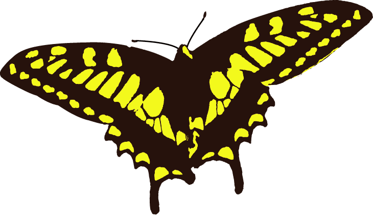 反面教師とパンチラハーレムと選挙違反 自分語り 5 Shunzo Mewmew Note