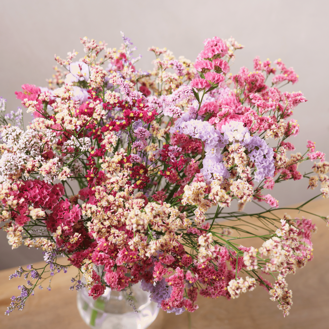 ドライフラワーにしやすいお花の定期便 5月の紹介 Greenpiece Note ドライフラワーにしやすいお花の定期便 5月の紹介 Greenpiece Note