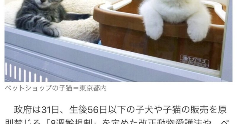 マイクロチップ義務化 22年6月から ペットの背中にマイクロチップを埋め込む ことが決定 小泉進次郎環境大臣は無能なのか Twitterに溢れる疑問に答えてみた あこう Note マイクロチップ義務化 22年6月から ペットの背中にマイクロチップを埋め込む ことが決定 小泉進次郎環境大臣は無能なのか Twitterに溢れる疑問に答えてみた あこう Note