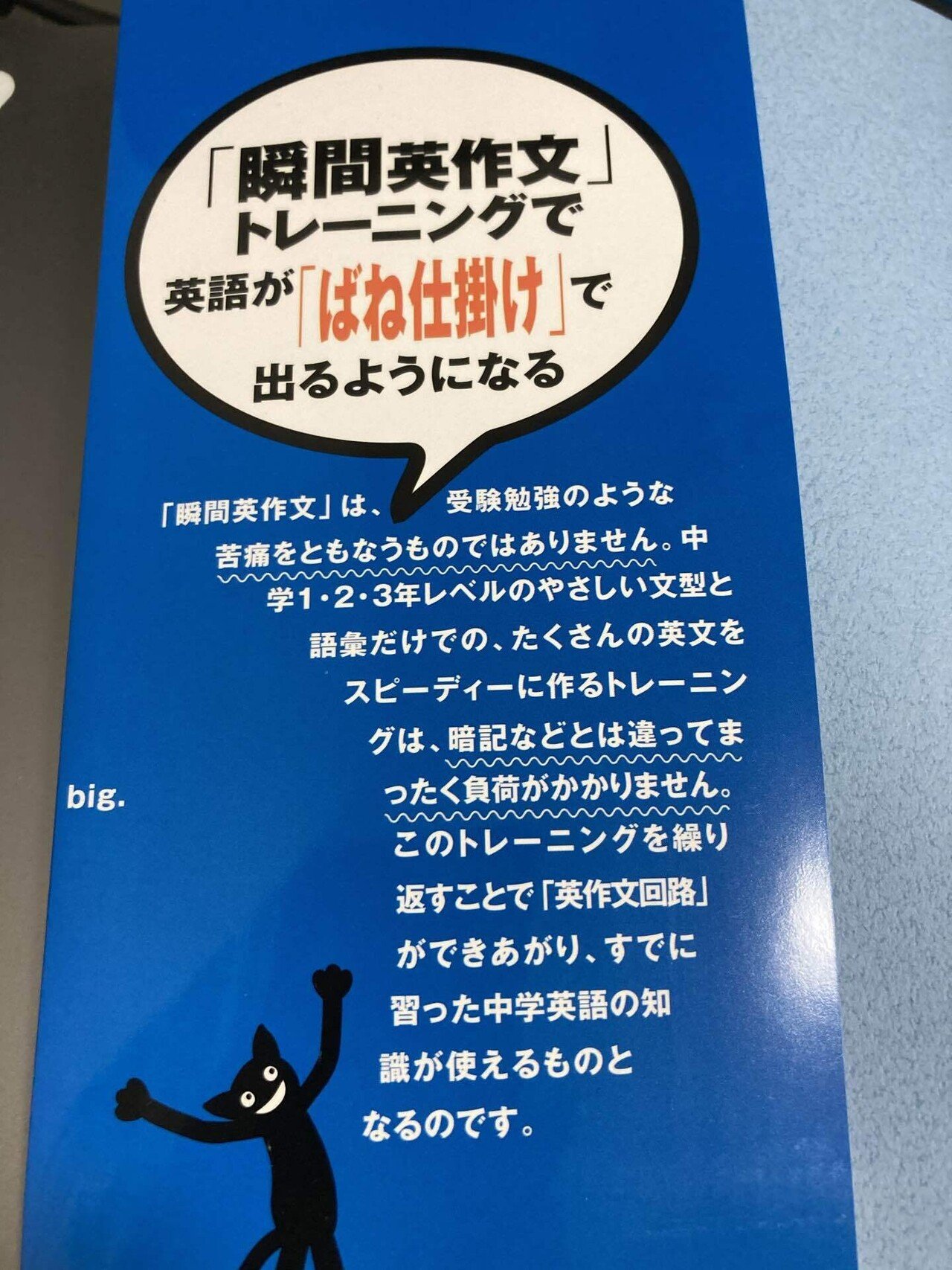 Progrit体験記 51 57日目 Hiroton Note