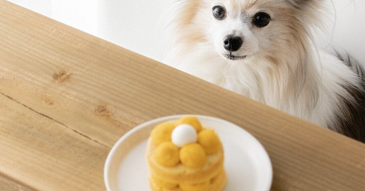 フライパンでok おからパウダーと卵のスポンジで作るお花のケーキ 手作り犬おやつレシピ 犬ごはん先生いちかわあやこ Official Web Site