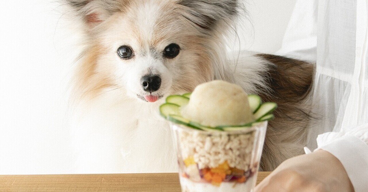 盛るだけ簡単 チキンと野菜のパフェ 月額限定 手作り犬ごはんレシピ 犬ごはん先生いちかわあやこ Official Web Site 盛るだけ簡単 チキンと野菜のパフェ 月額限定 手作り犬ごはんレシピ 犬ごはん先生いちかわあやこ Official Web Site