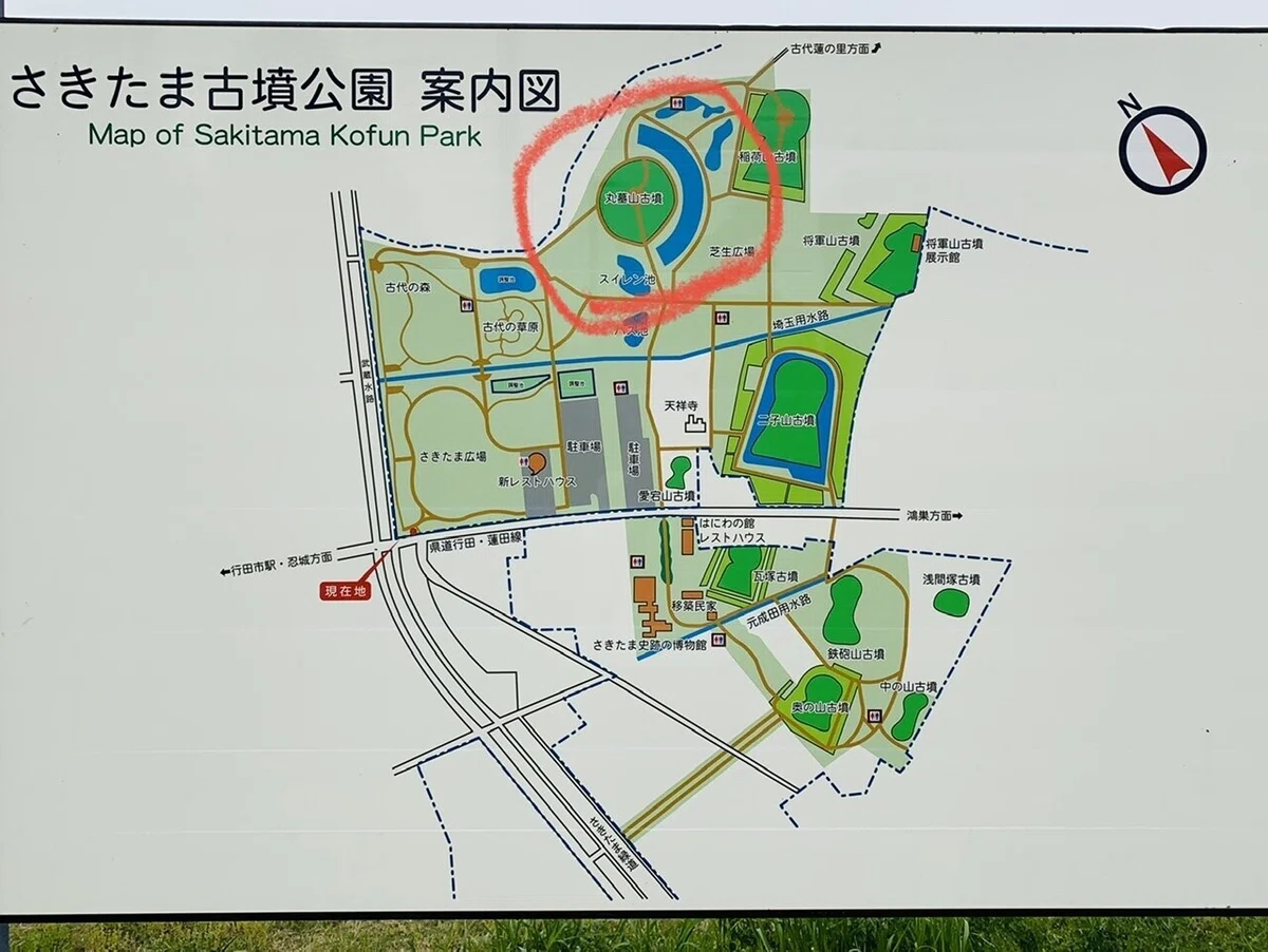 画像5