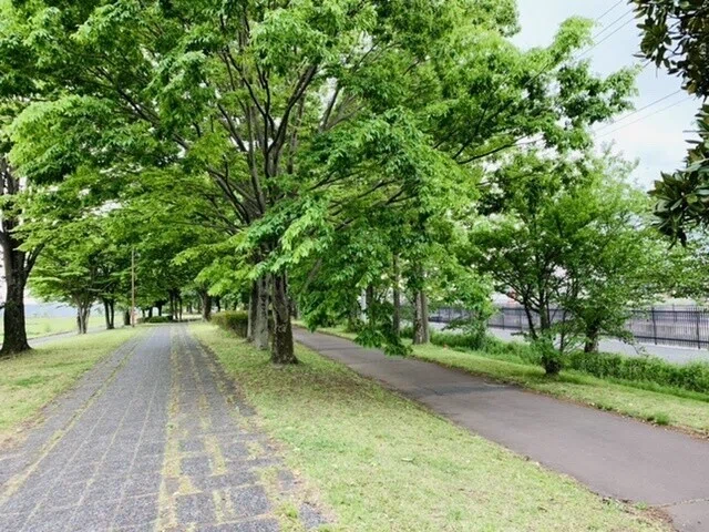 画像11