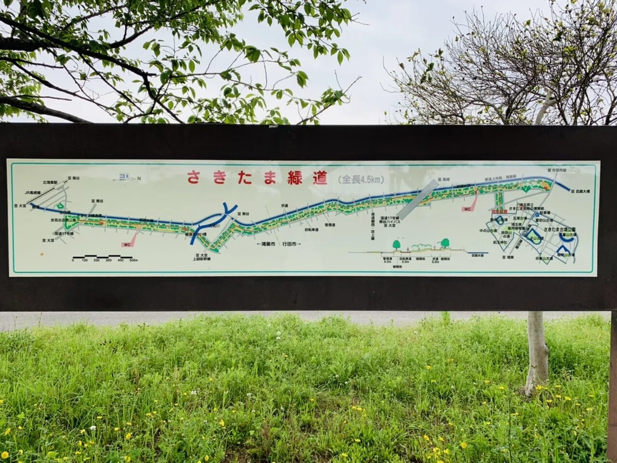 画像19