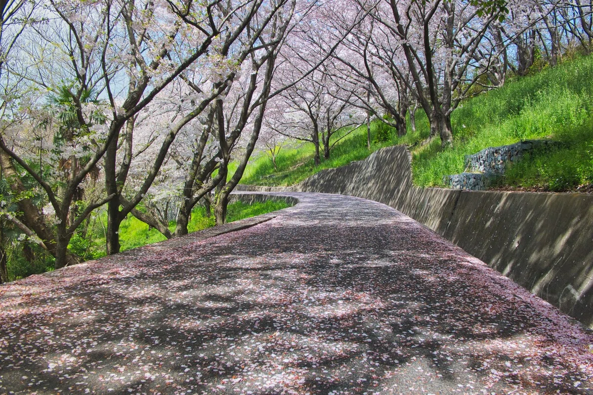 画像20