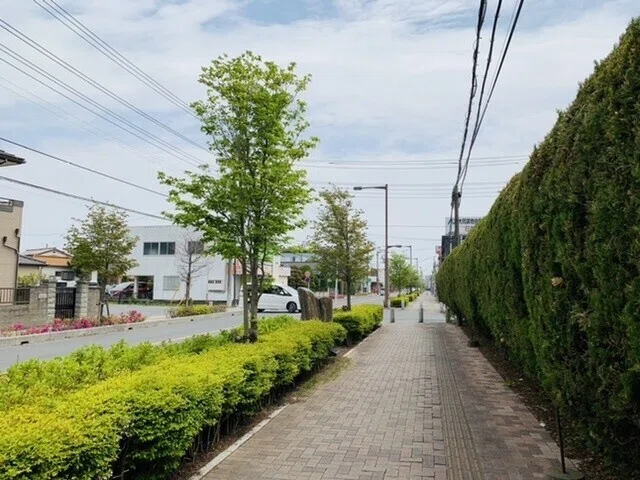 画像22