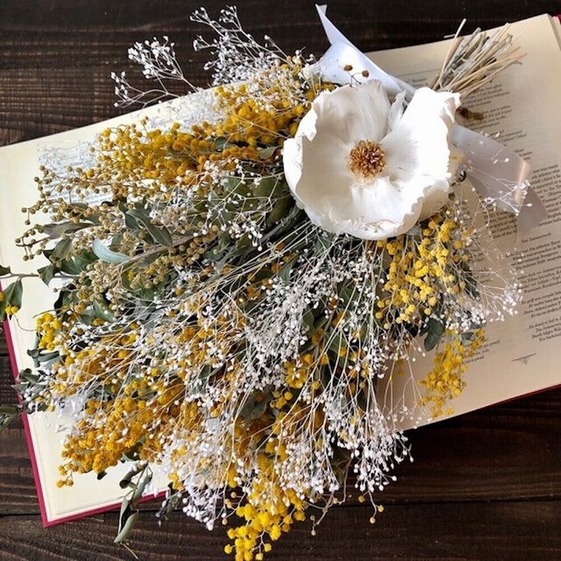 植物を身近に 部屋に飾りたいグリーンたち Iichi Note