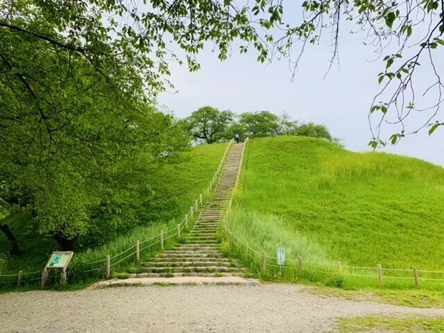 画像26