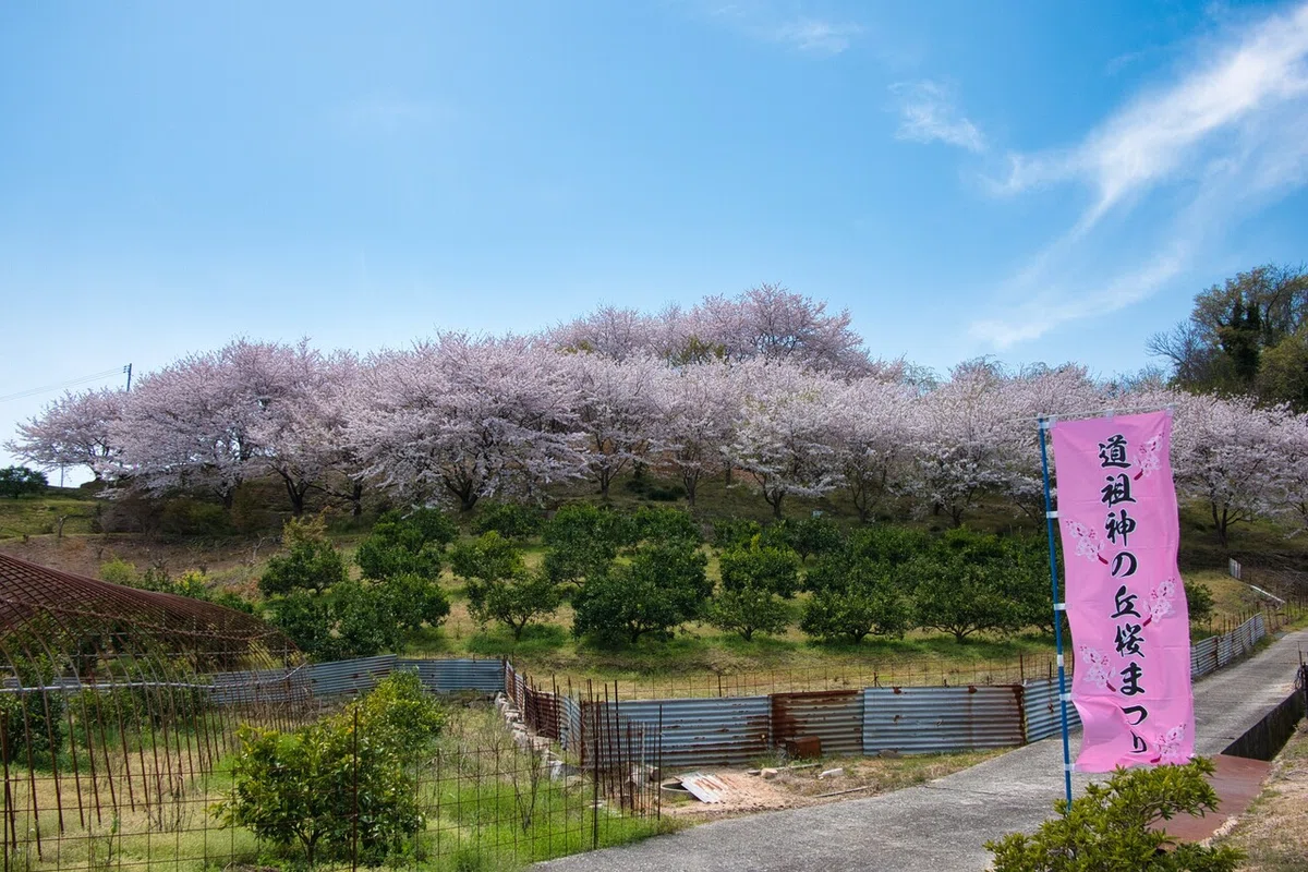 画像21