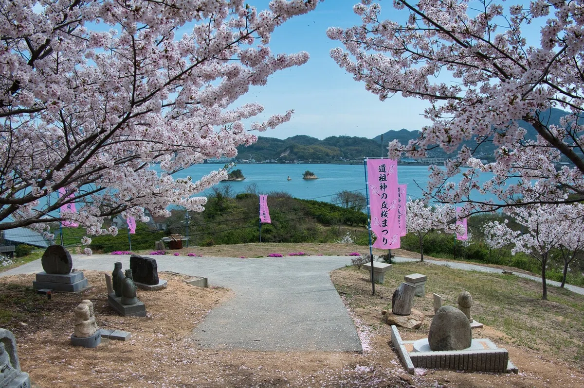 画像26