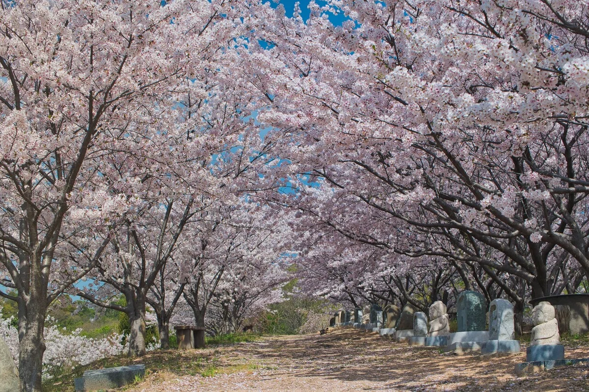 画像26