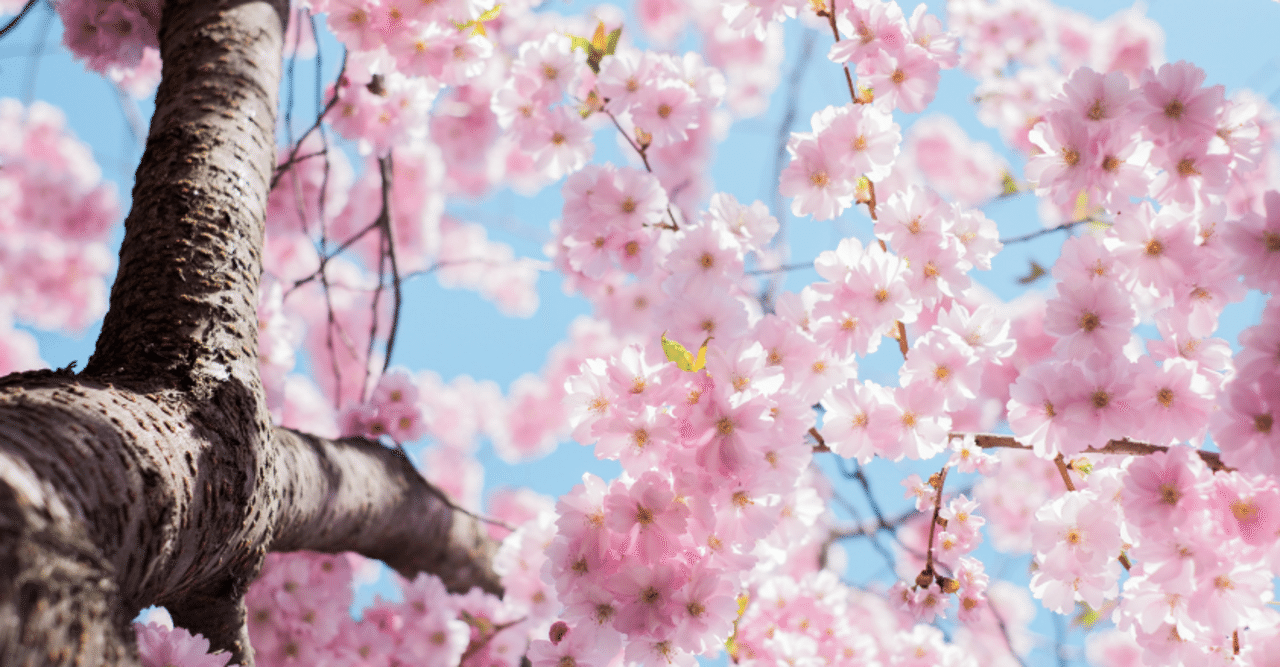 ドラゴン桜２の心揺さぶる名言集 前半 Joe Note