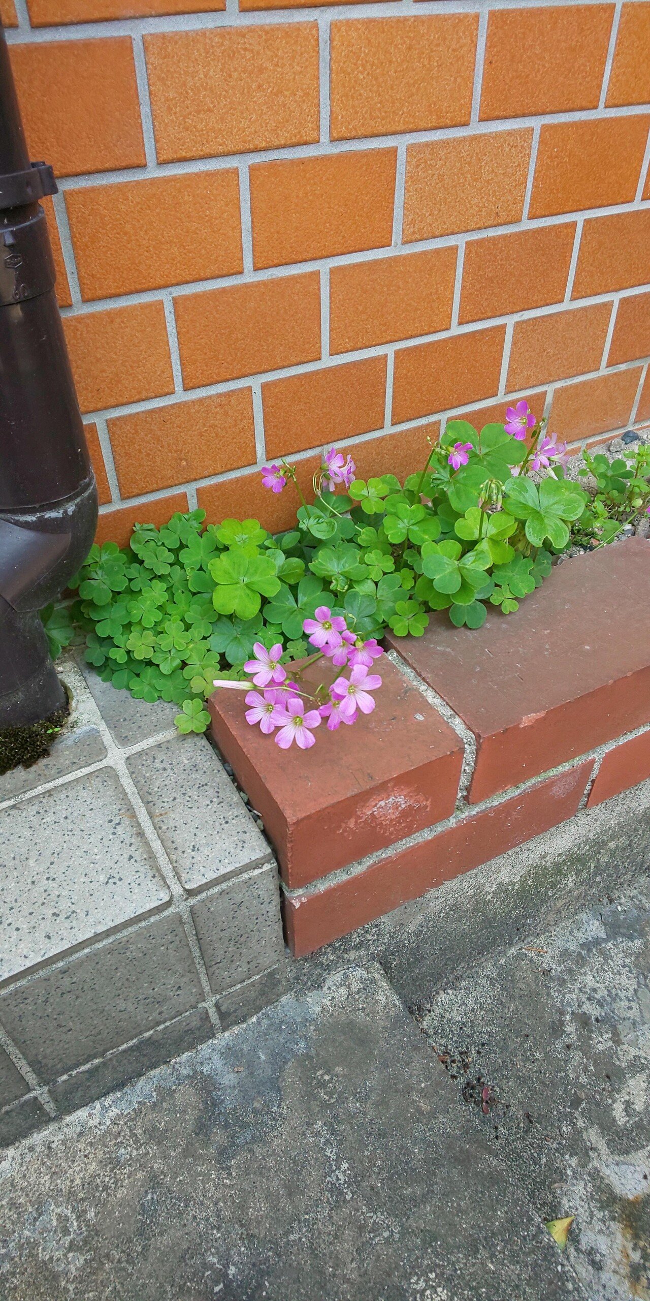 仕事中に気が抜けて倒れてしまったら誰か運んでくれるんやろうか とふと思うけど結構なオオゴトになるのでやめとこう どこでもドア あったら いいのに 樹里 Note 仕事中に気が抜けて倒れてしまったら誰か運んでくれるんやろうか とふと思うけど結構なオオゴトになるのでやめとこう どこでもドア あったら いいのに 樹里 Note