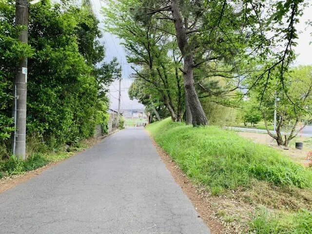 画像26