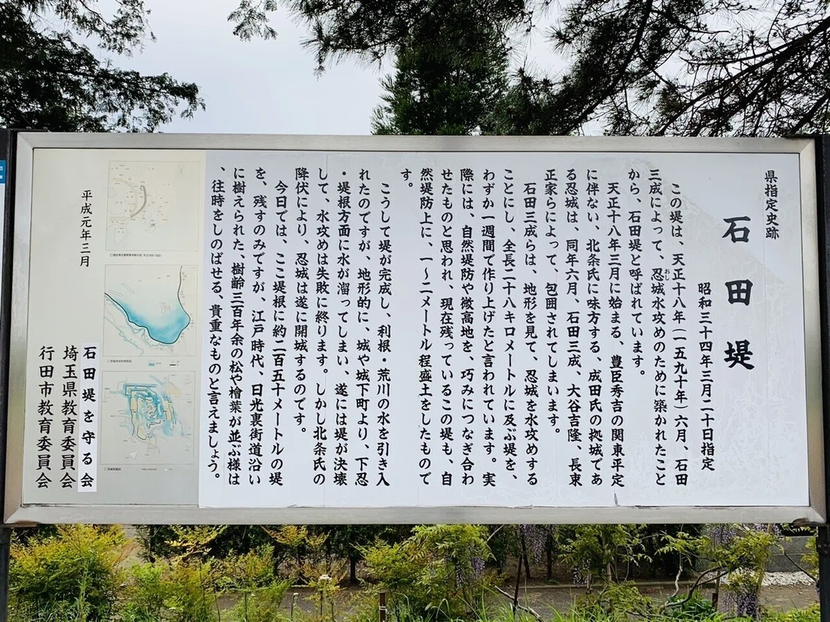 画像27