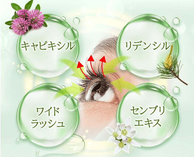 KABAちゃん まつげ美容液 Lashcend~驚きの美まつげを実現~-[Polaris Store]