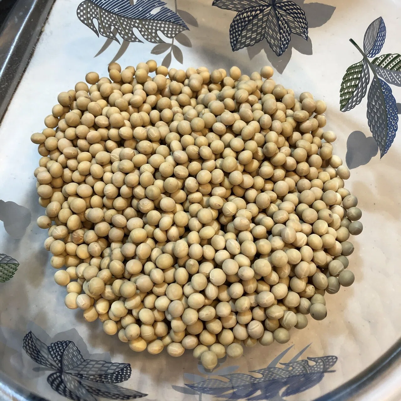 乾燥 大豆 戻し 方