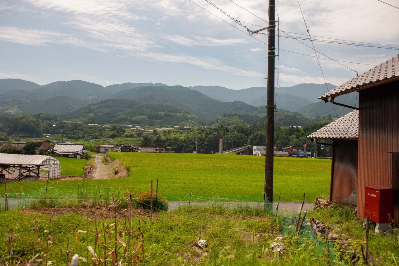 住人の「やりたい」活動をサポート～「野村地域自治振興協議会」の活動