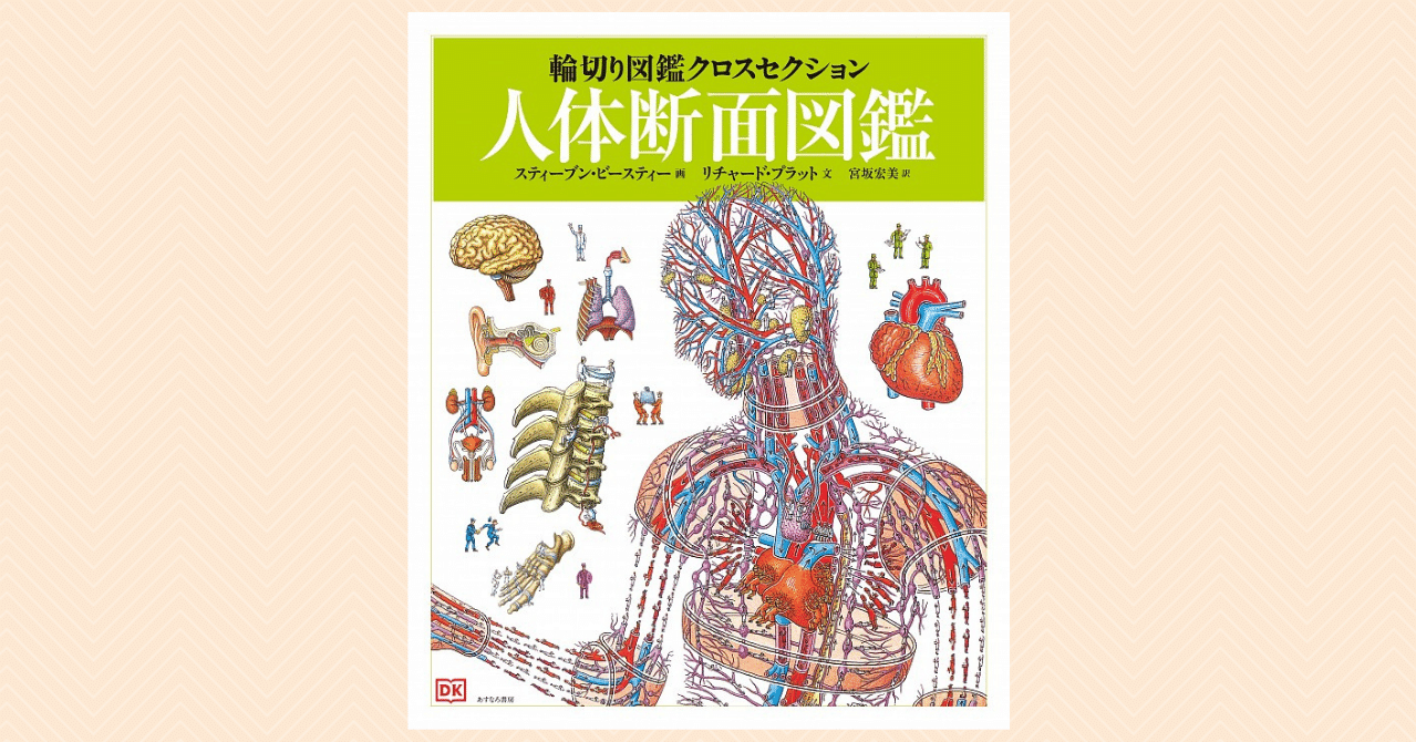 4bc3bd704ea50982b28328d79e5855