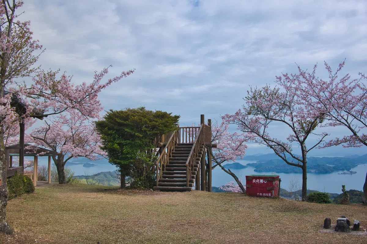画像35