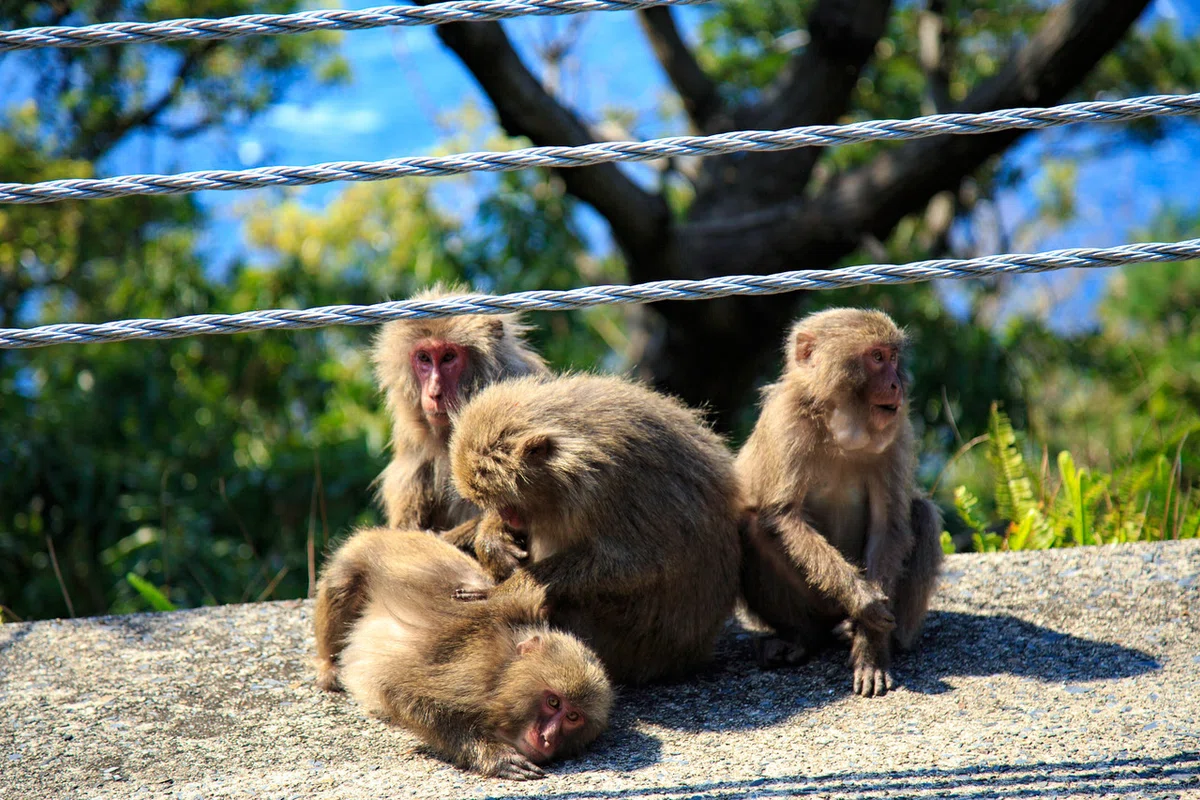 画像7