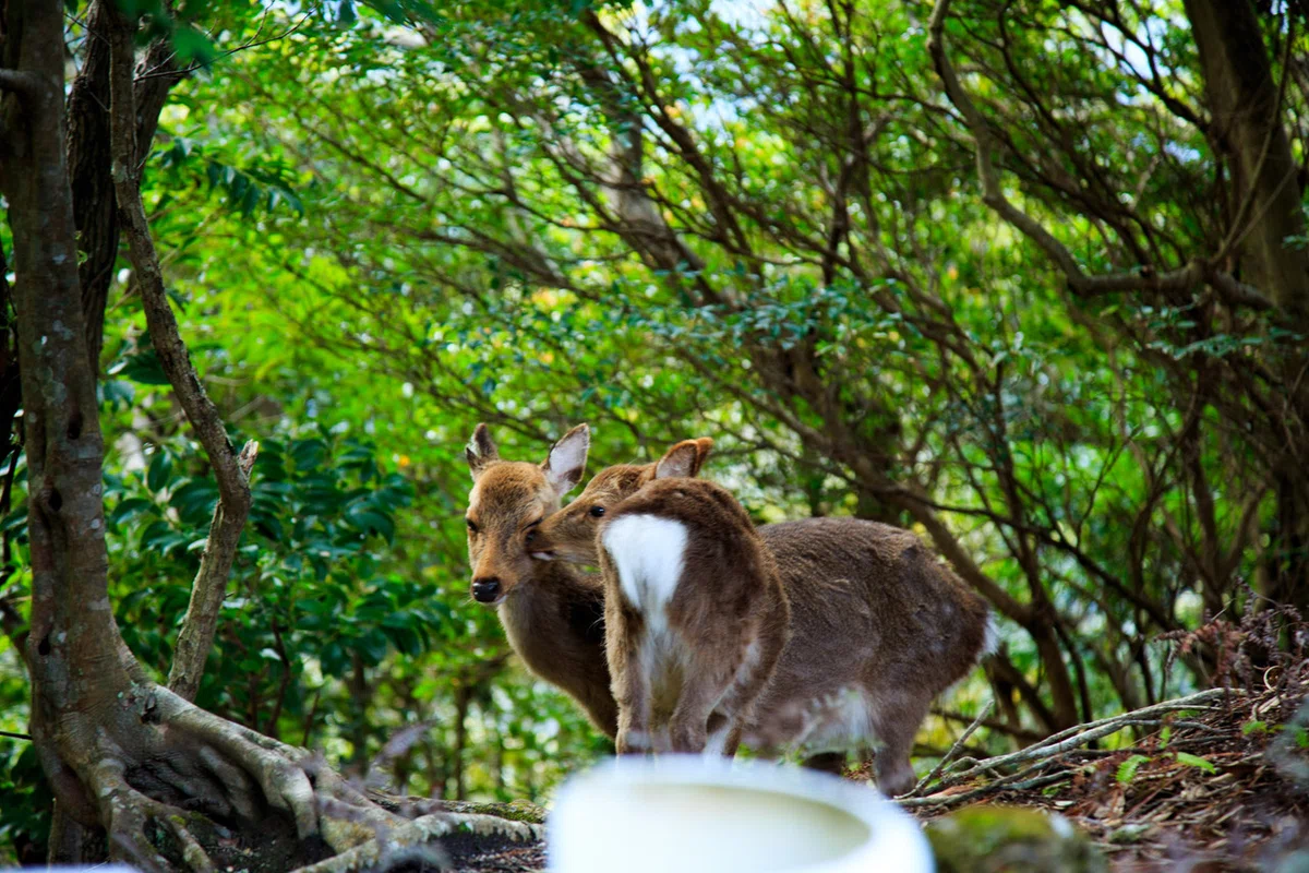 画像10