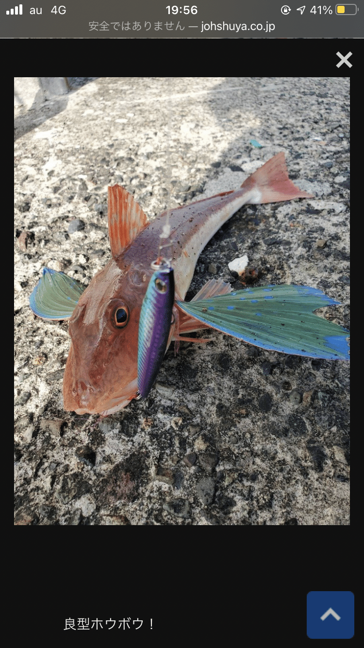 100均のルアーで魚を釣った ほうき星 Note 100均のルアーで魚を釣った ほうき星 Note