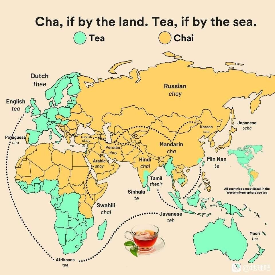 これ ツイッターで見かけてへぇ っ て思ったけど 中国と日本は陸続きじゃないね でも面白いインフォグラフィックです 誰が作ったのかな お茶という単語は陸路で伝わったらcha 海路ならtea 例外もあるよ シマフィー Note