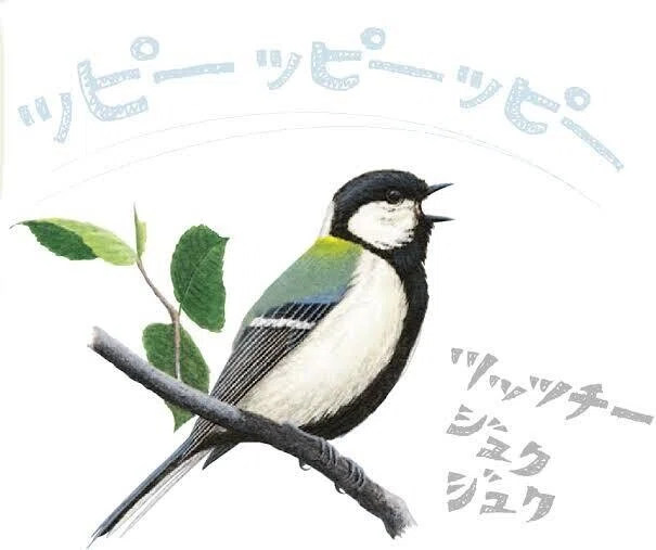 第1579回 オス鳥が歌う｜翆野 大地
