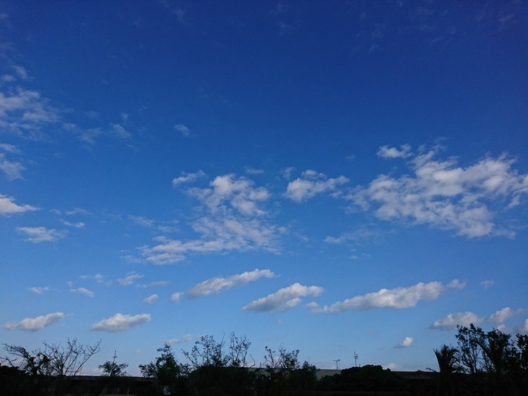 すっかり秋めいた空になってる。入道雲はいづこ？