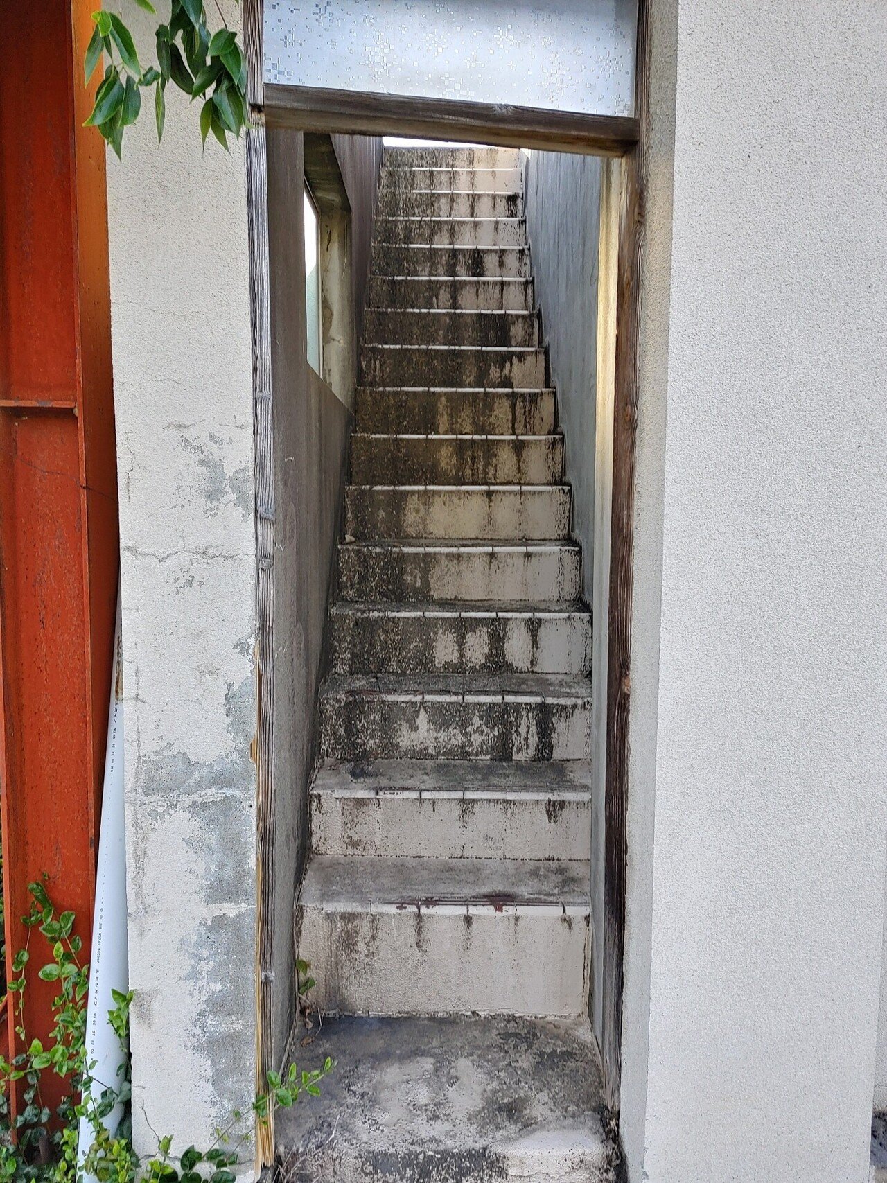 スピに心を殺される 柳井一理 Note