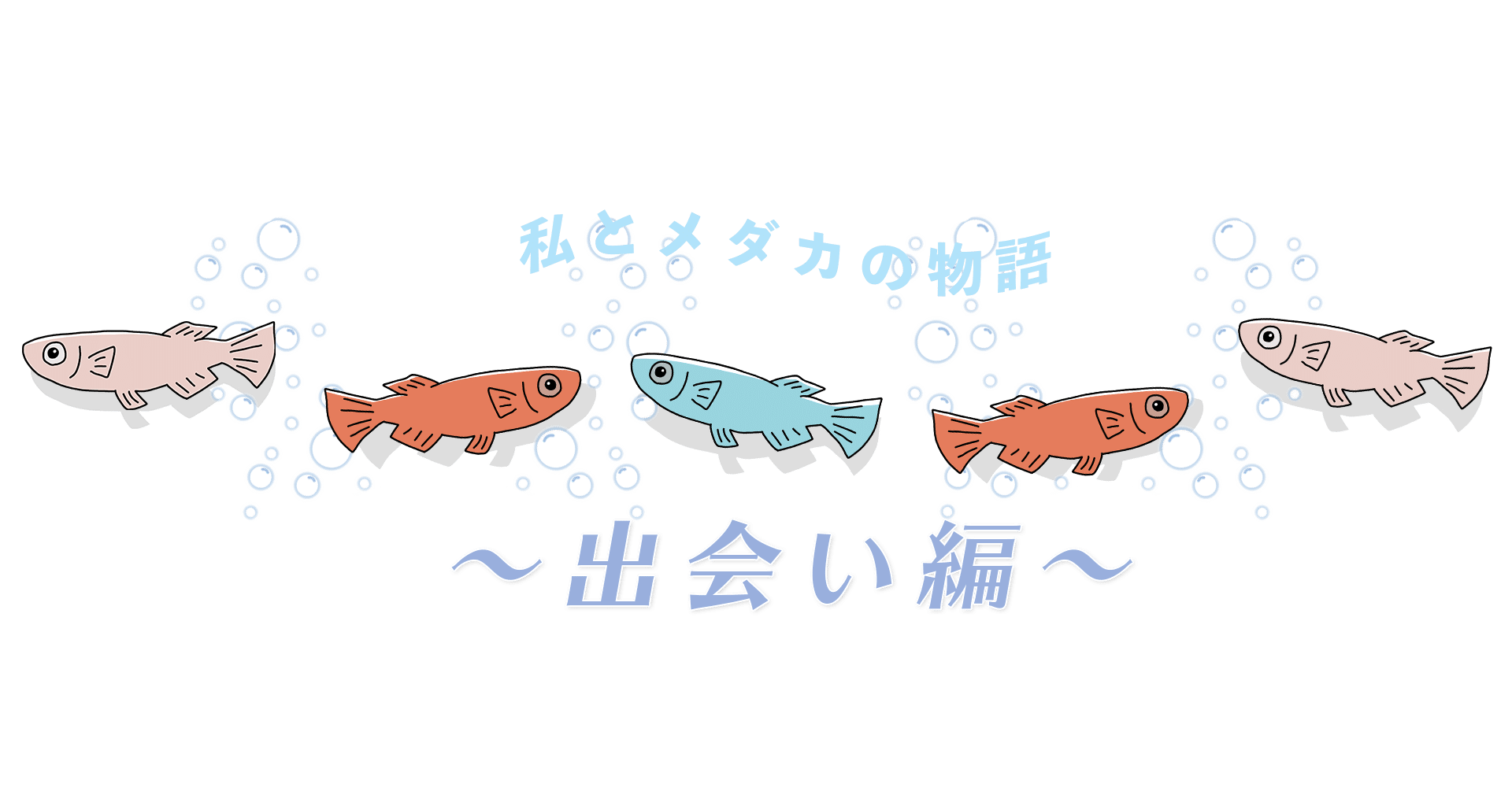 感動 私とメダカの物語 出会い編 メダカの飼育員 Note