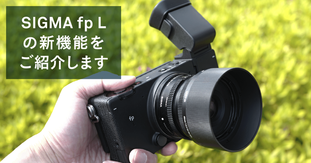 デジタルカメラ SIGMA fpL fp L | Cameras | Sigma
