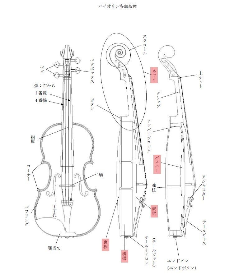 バイオリン各部名称　印