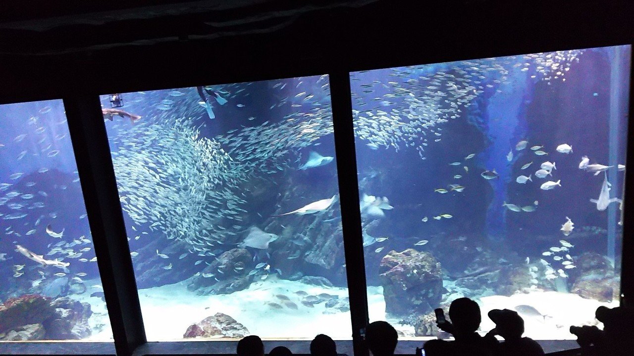 福岡市海の中道水族館 む Note