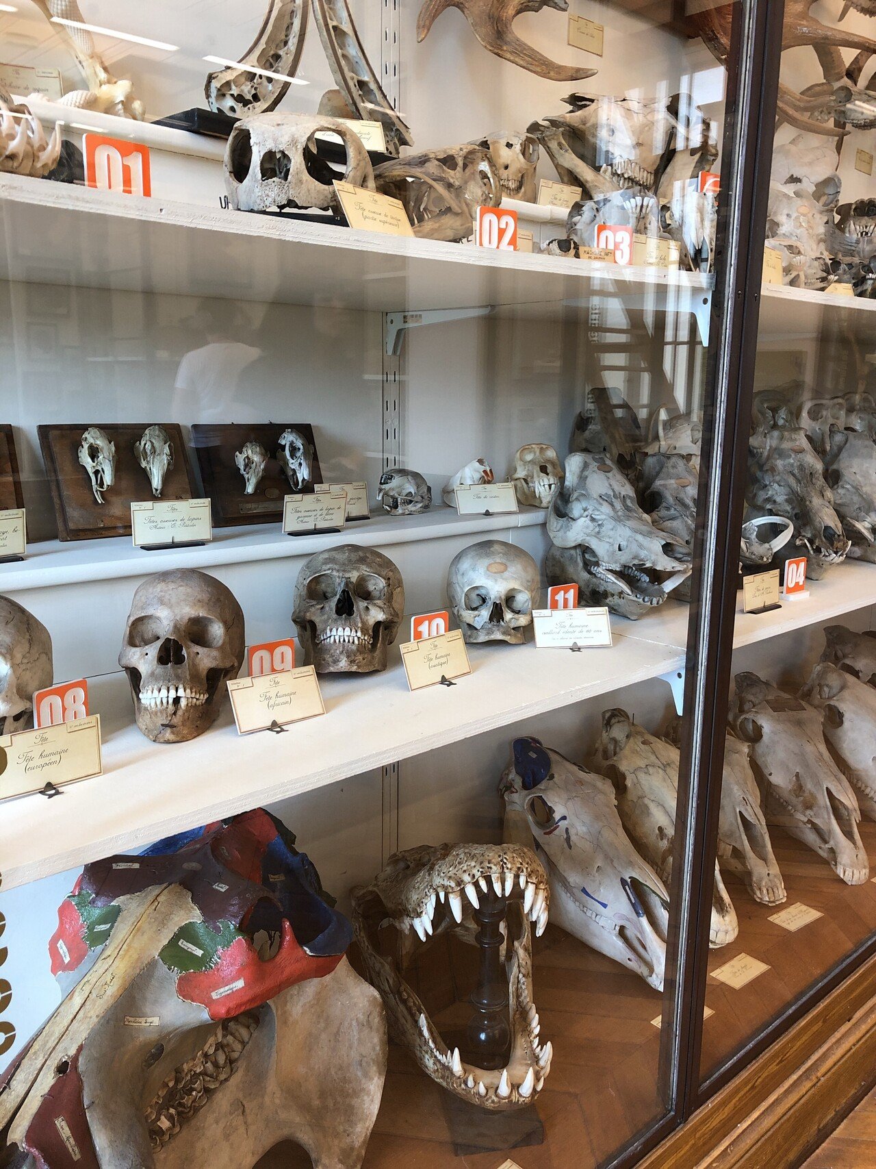 パリ旅行備忘録】「フラゴナール博物館」｜ヒロサキ