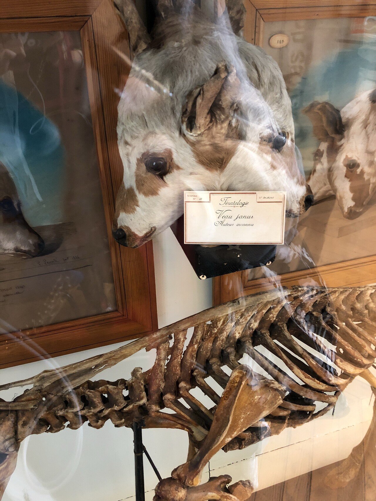 パリ旅行備忘録】「フラゴナール博物館」｜ヒロサキ