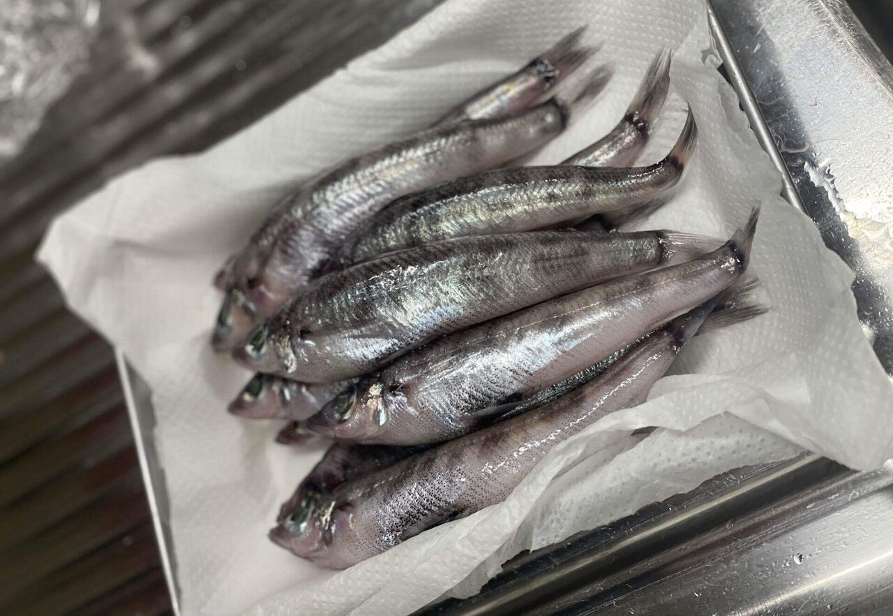 とにかくqolを向上したい人の目光の天ぷら イナダのお造りそしてブリ茶 とにかく食でqolを向上したい人のブログ Note