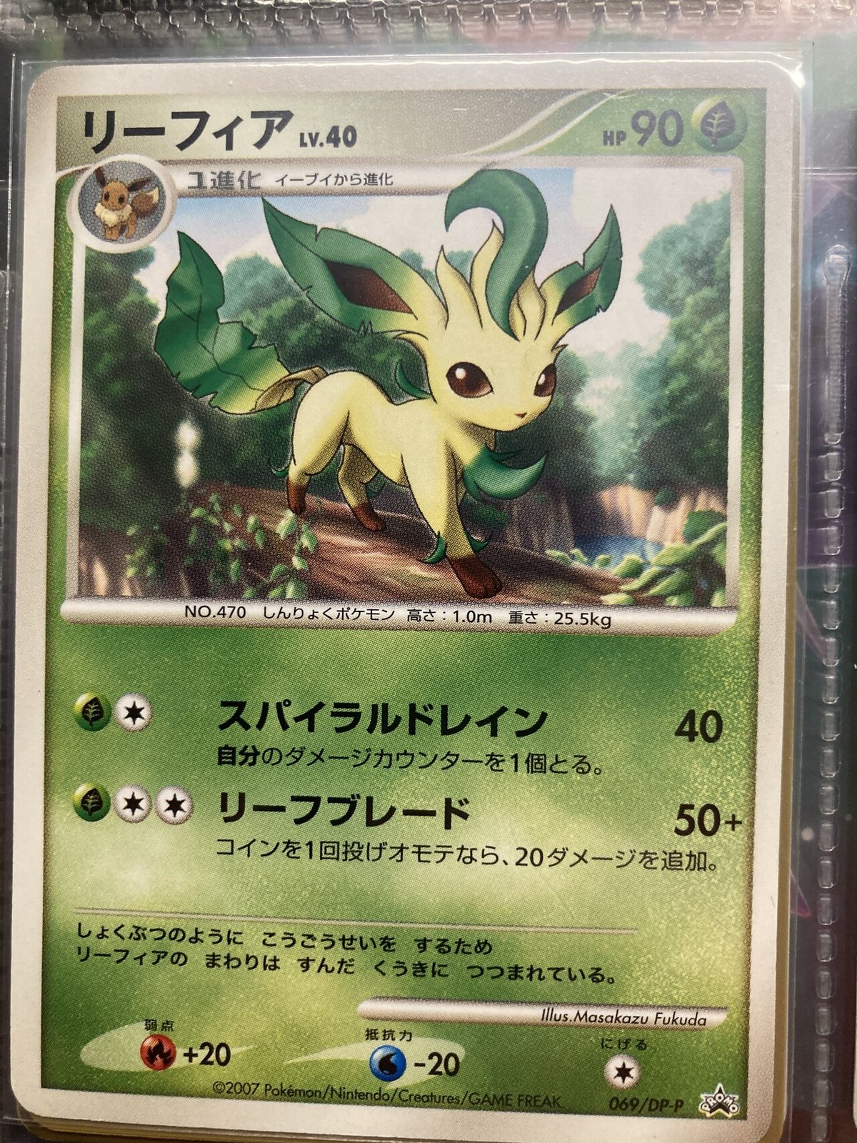 りーふぃあ　プロフィール確認下さい 専用！ リーフィア画像確認用