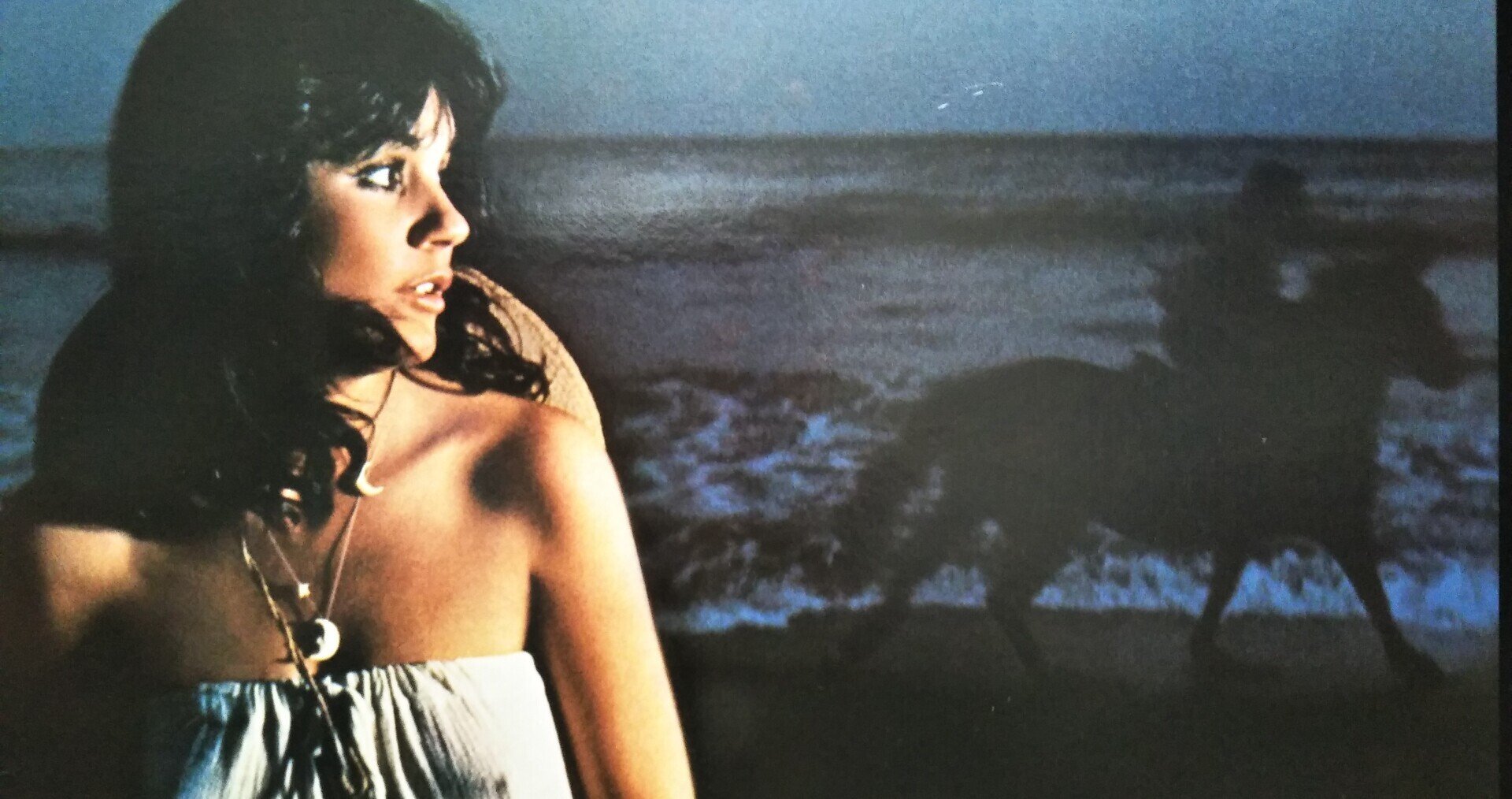 Hasten Down the Wind(風にさらわれた恋)】(1976) Linda Hasten Down the Wind(風にさらわれた恋)】(1976) Linda