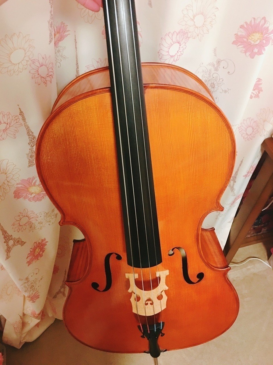 チェロがうちに来た日｜Kaori Ishimaru