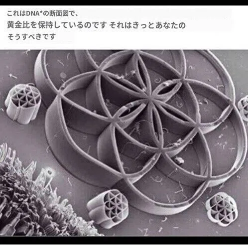 画像10