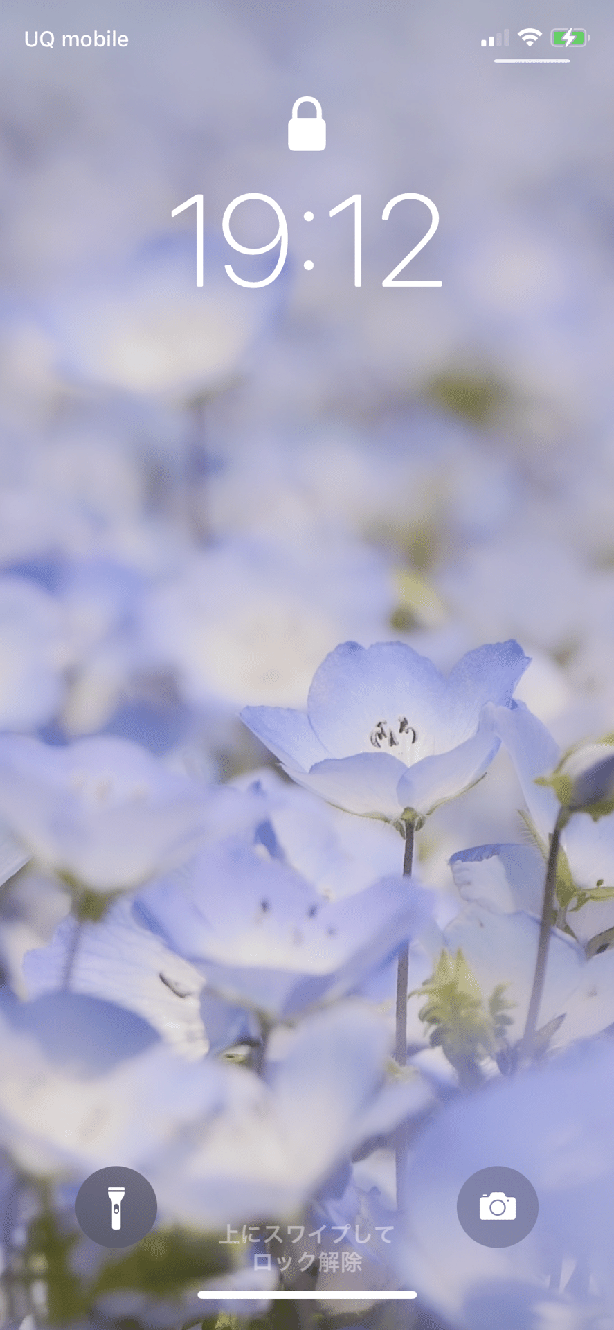 スマホの待ち受け用写真をつくったのでよかったら気分転換にどうぞ というお話 だいすーけ Note スマホの待ち受け用写真をつくったのでよかったら気分転換にどうぞ というお話 だいすーけ Note