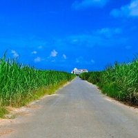 考察してみた 白米の食べ方と血糖値の関係 From ロカボ実験室 Oda 未来を創る薬剤師 Note